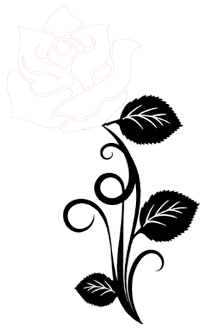 image of rose